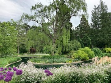 Kanalizace-kořeny-Herčík a Kříž